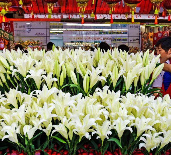 揭秘鲜花批发市场，动态解析与选购攻略,北京百合鲜花批发价格分析，市场动态与选购指南,鲜花批发,第1张