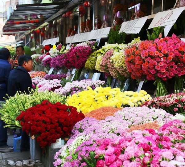昆明鲜花市场行情揭秘，价格行情一览,昆明鲜花市场行情解析，昆明鲜花价格多少钱一斤？,市场行情,昆明鲜花,第1张